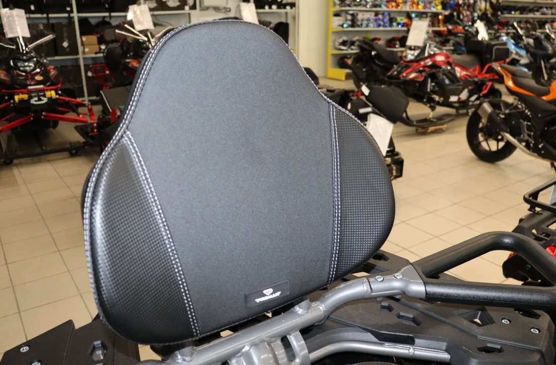 Квадроцикл PROMAX RENEGADE 300 LONG WINCH PRO (2025) в Новоуральске