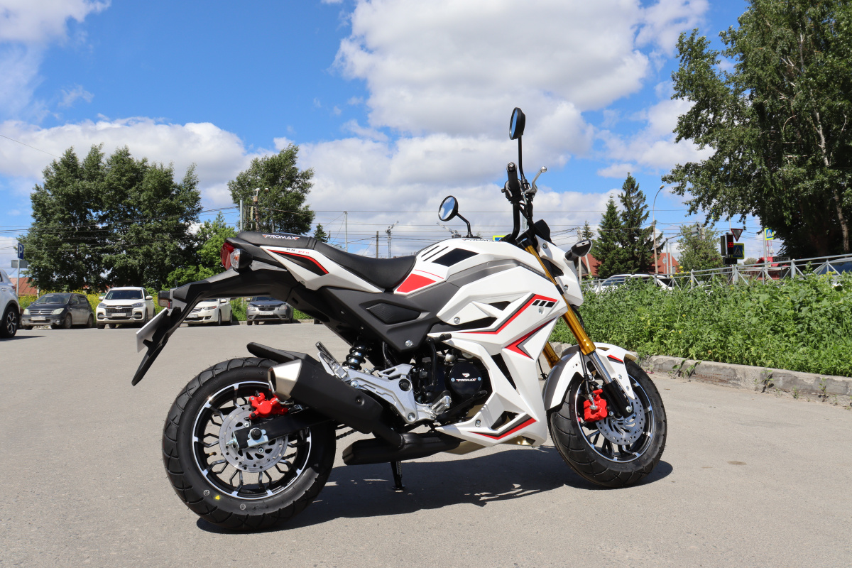 Мотоцикл PROMAX STRYKER 200(49) 2.0 в Новоуральске