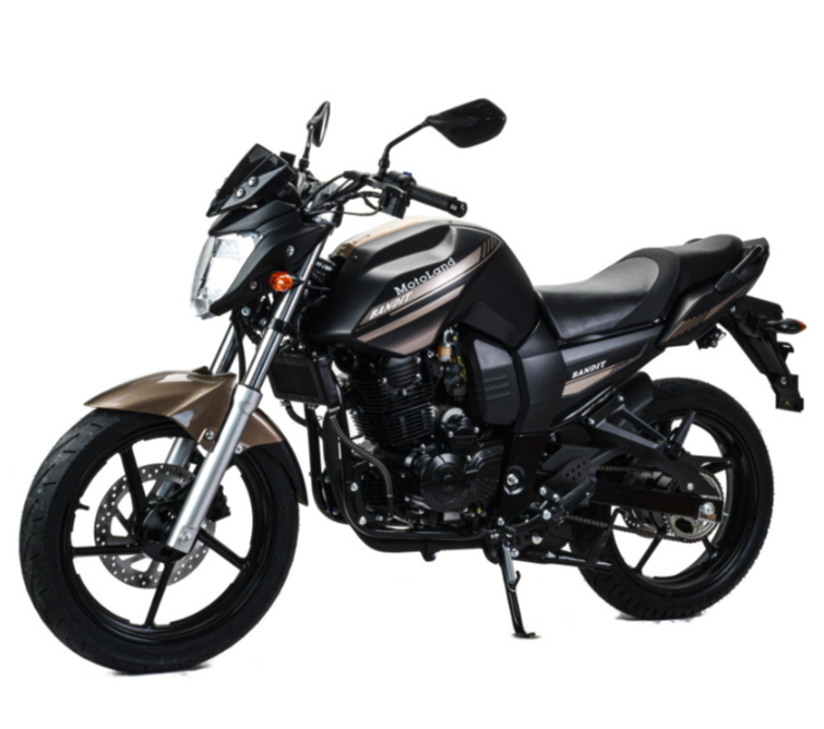 Мотоцикл MOTOLAND (МОТОЛЕНД) 300 BANDIT в Новоуральске