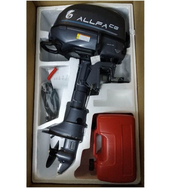 Лодочный мотор ALLFA CG F6 в Новоуральске