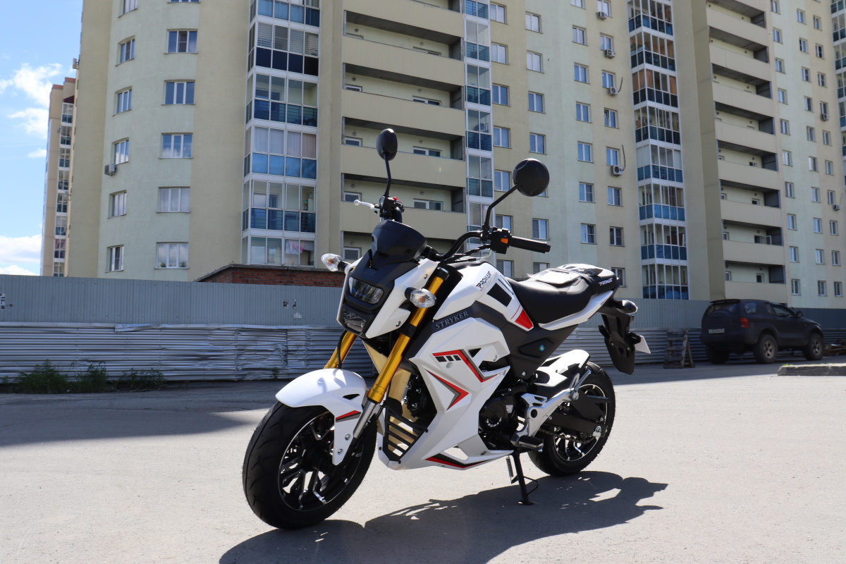 Мотоцикл PROMAX STRYKER 200(49) 2.0 в Новоуральске