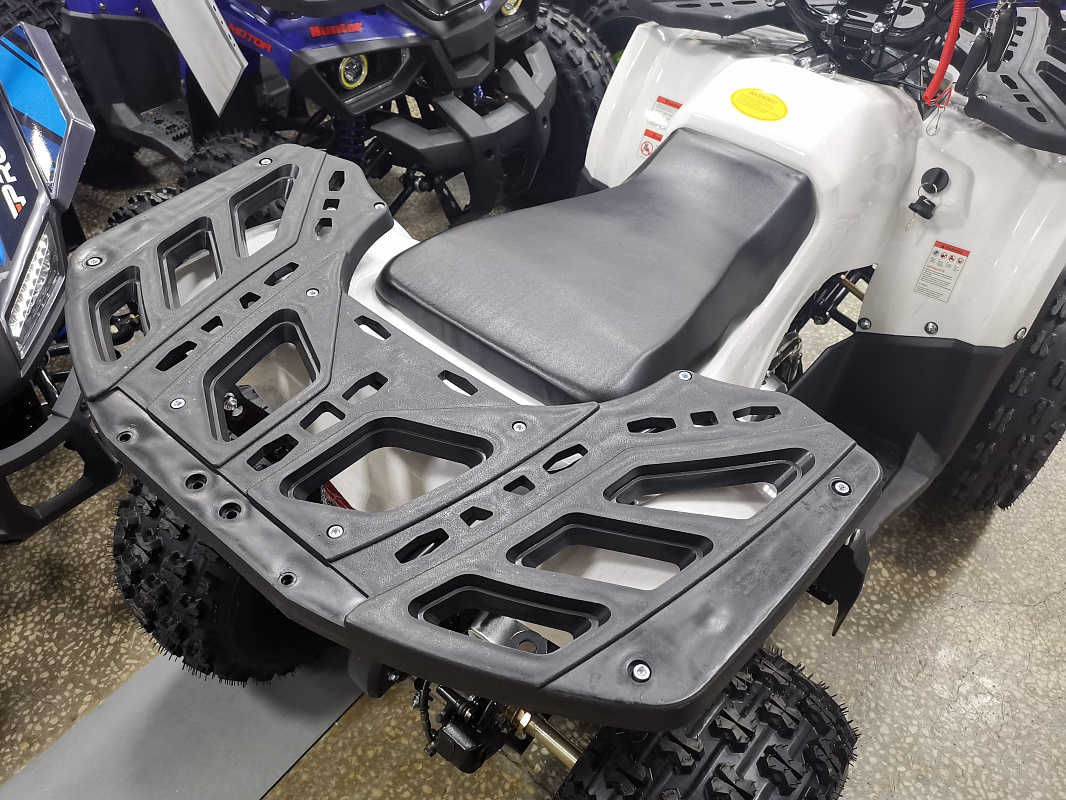 Квадроцикл PROMAX WILD 175 LUX в Новоуральске