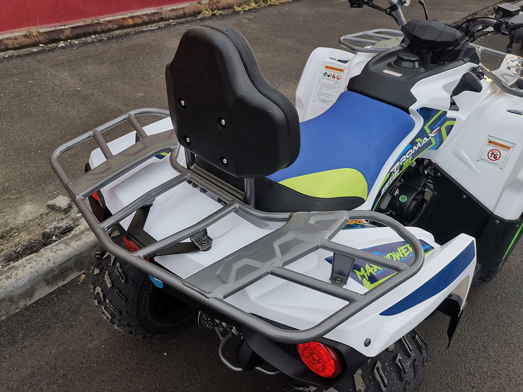 Квадроцикл PROMAX RENEGADE 280 LUX (2025) в Новоуральске
