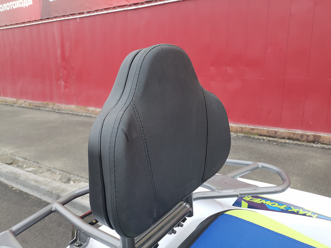 Квадроцикл PROMAX RENEGADE 280 LUX (2025) в Новоуральске