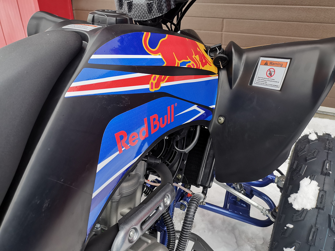 Квадроцикл PROMAX RAPTOR 300 NEW RedBull в Новоуральске
