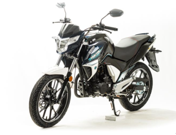 Мотоцикл MOTOLAND (МОТОЛЕНД) FIGHTER 250 в Новоуральске