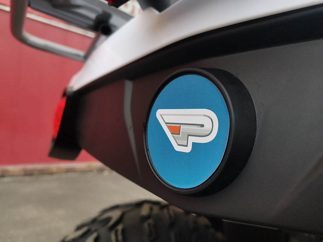 Квадроцикл PROMAX RENEGADE 280 LUX (2025) в Новоуральске