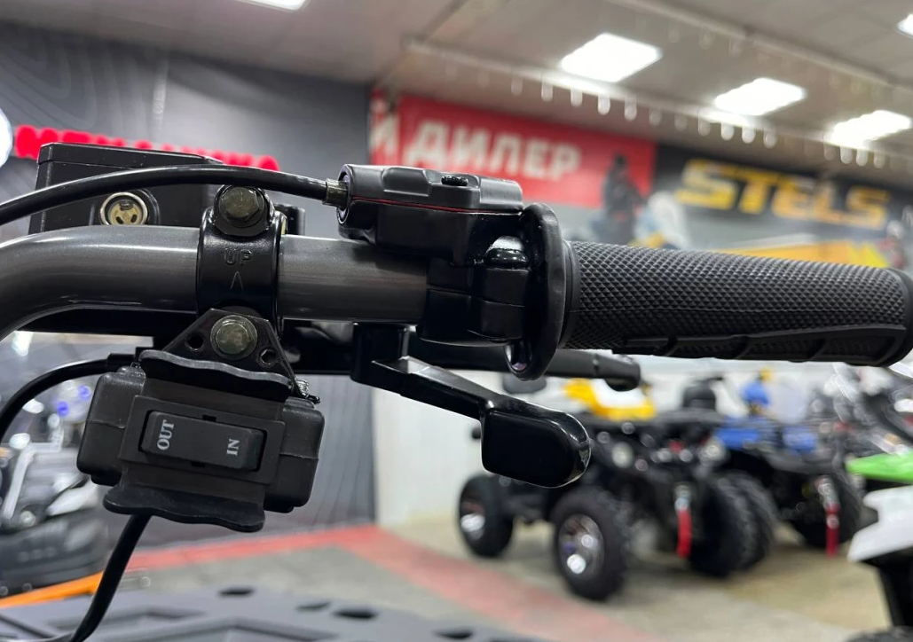 Квадроцикл PROMAX RENEGADE 300 LONG WINCH PRO (2025) в Новоуральске