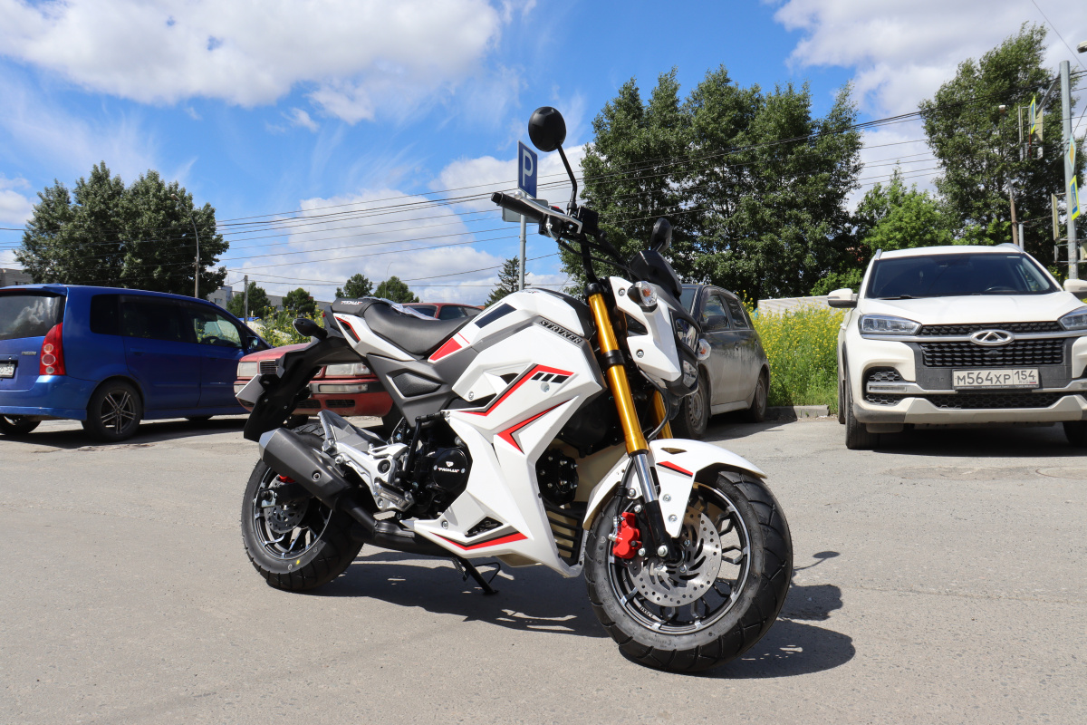 Мотоцикл PROMAX STRYKER 200(49) 2.0 в Новоуральске