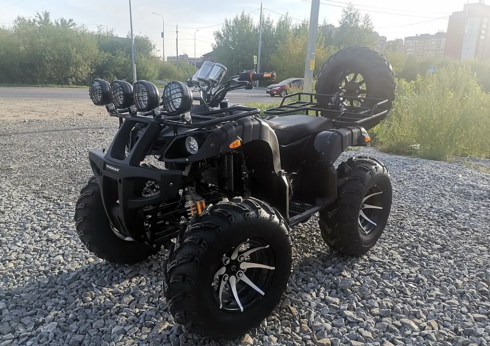 Квадроцикл PROMAX LEO 300 Max (кардан) в Новоуральске