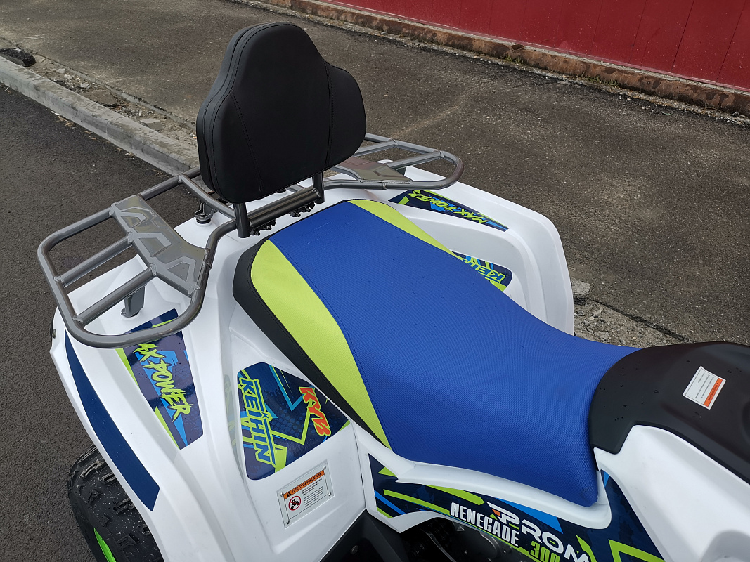 Квадроцикл PROMAX RENEGADE 280 LUX (2025) в Новоуральске