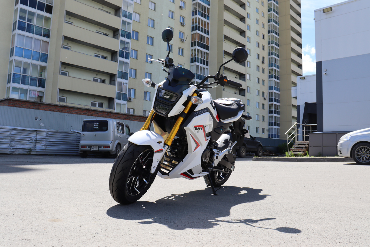 Мотоцикл PROMAX STRYKER 200(49) 2.0 в Новоуральске