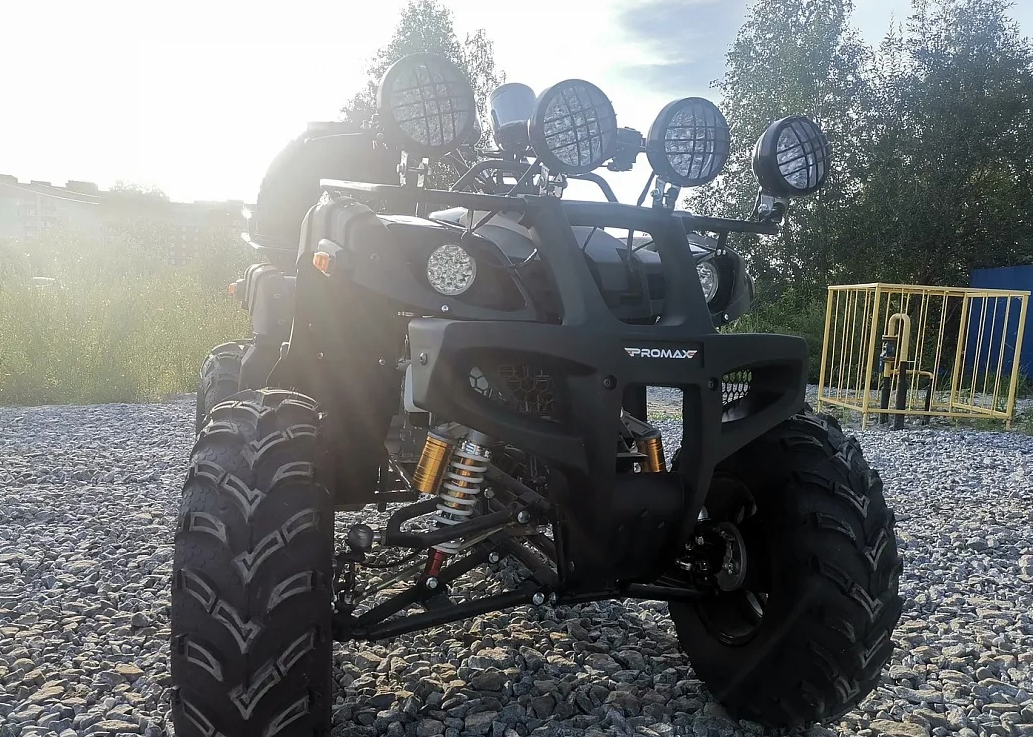 Квадроцикл PROMAX LEO 300 Max (кардан) в Новоуральске