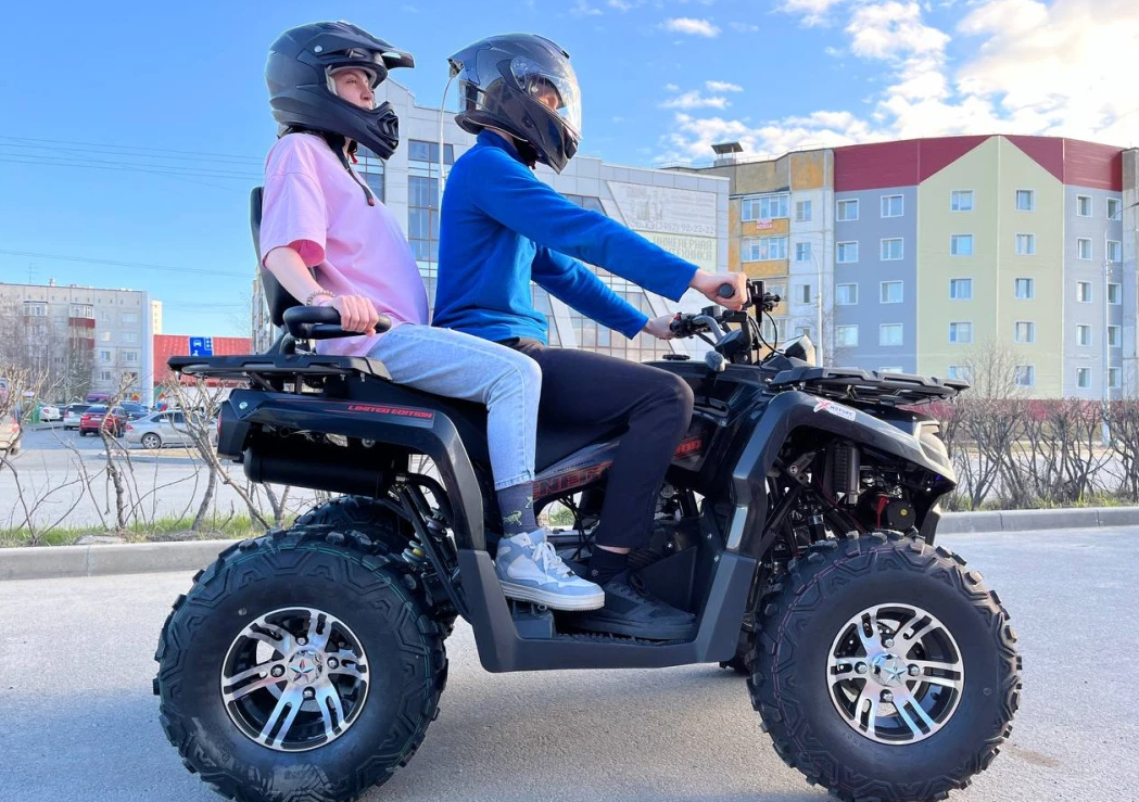 Квадроцикл PROMAX RENEGADE 300 LONG WINCH PRO (2025) в Новоуральске