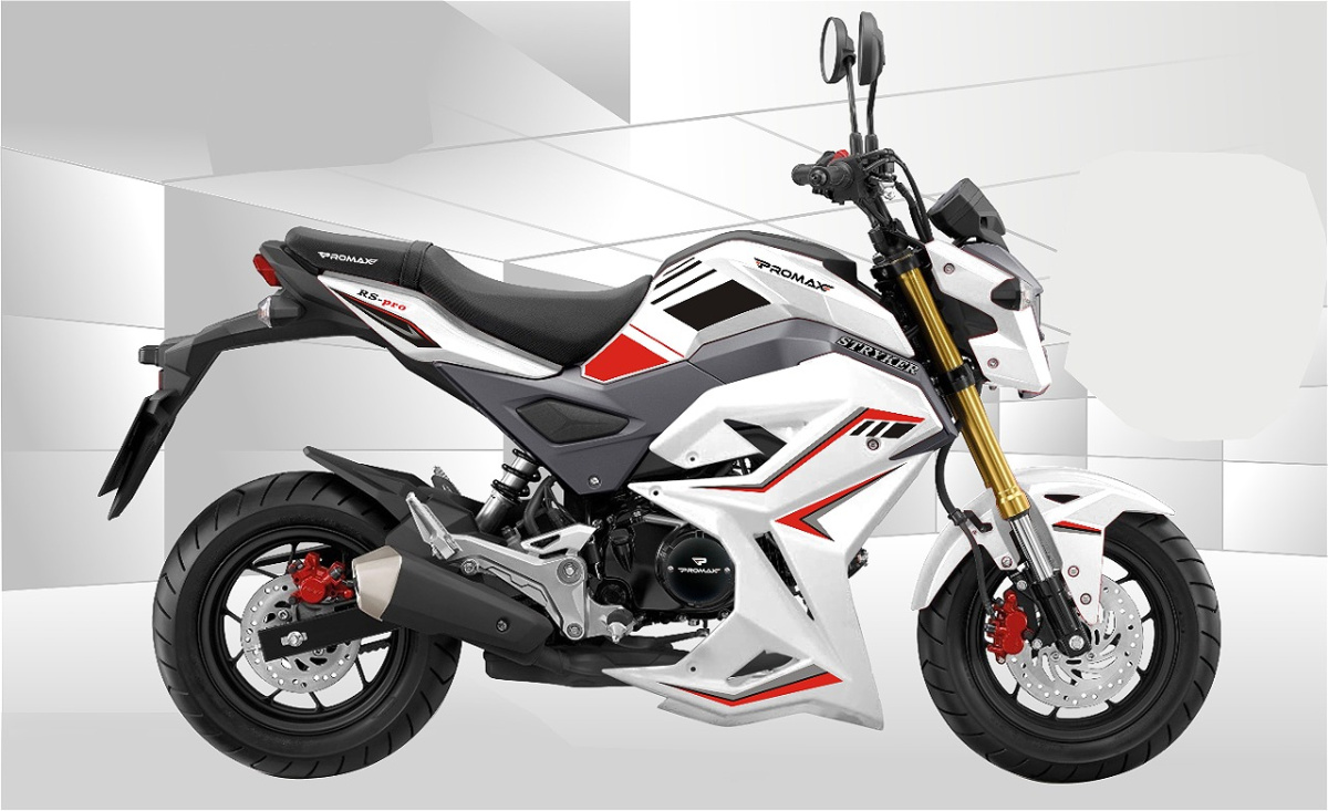 Мотоцикл PROMAX STRYKER 200(49) 2.0 в Новоуральске