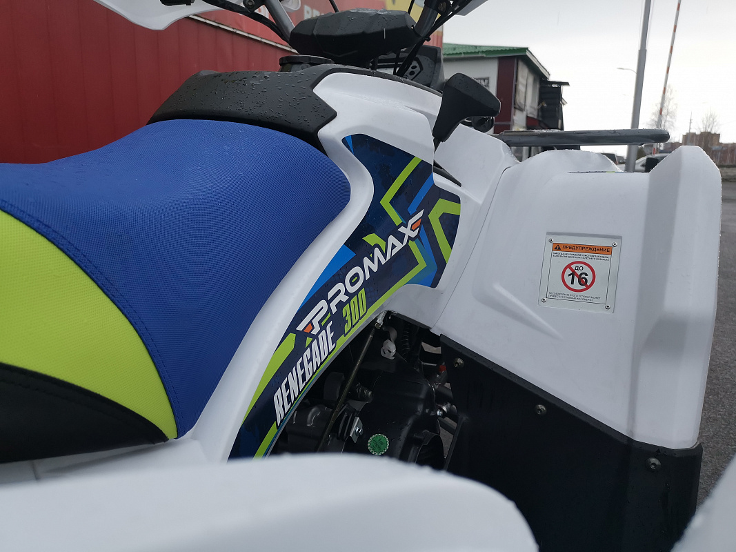 Квадроцикл PROMAX RENEGADE 280 LUX (2025) в Новоуральске