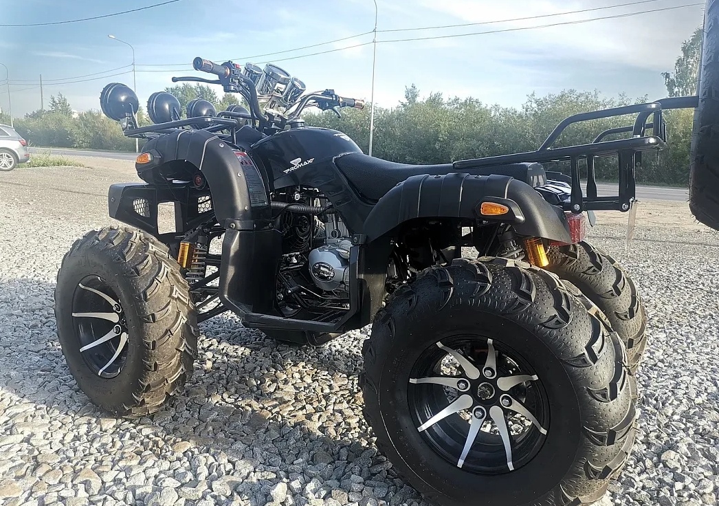 Квадроцикл PROMAX LEO 300 Max (кардан) в Новоуральске