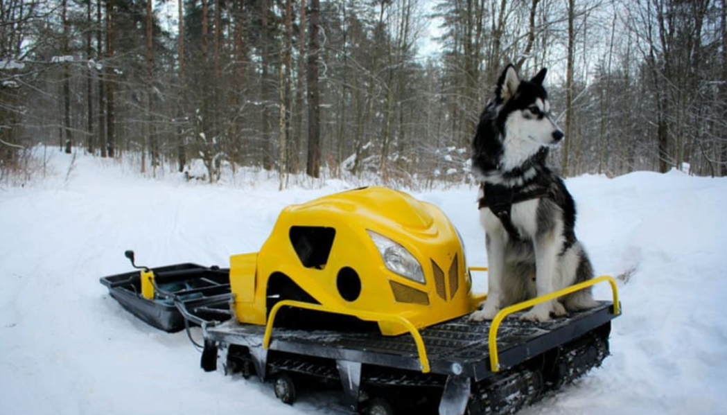 Мотобуксировщик LEBEDEV MOTORS ВОЛКОДАВ POWER V13 в Новоуральске