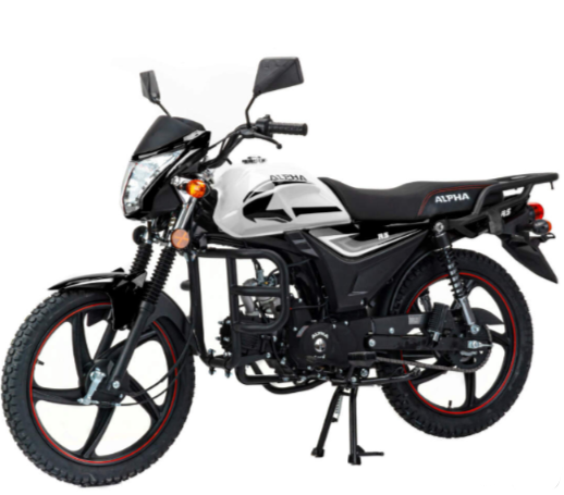 Мопед MOTOLAND (МОТОЛЕНД) Альфа RS 11 (LM48-B) в Новоуральске
