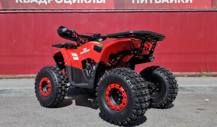 Квадроцикл PROMAX WILD 175 BASIC в Новоуральске