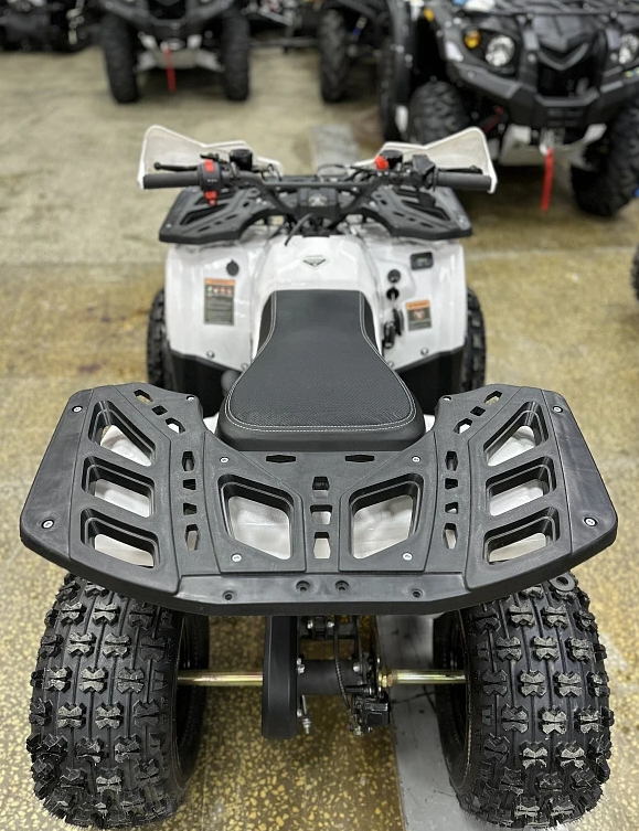 Квадроцикл PROMAX WILD 2.0 190 в Новоуральске