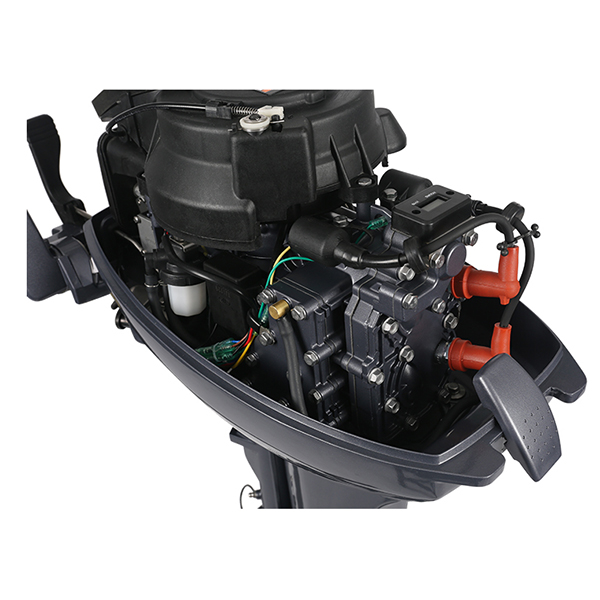 ЛОДОЧНЫЙ МОТОР ALLFA CG Т9,9 в Новоуральске