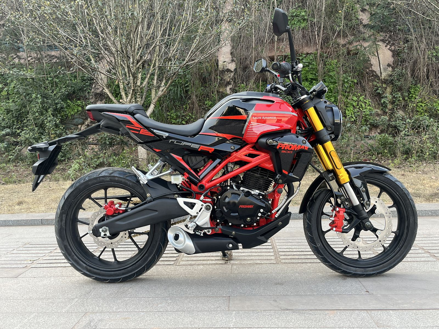 Мотоцикл PROMAX CB300 в Новоуральске