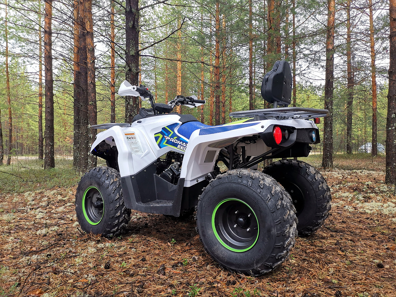 Квадроцикл PROMAX RENEGADE 280 (2025) в Новоуральске