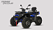 Квадроцикл PROMAX TAURUS 300 MAX-PRO LONG в Новоуральске
