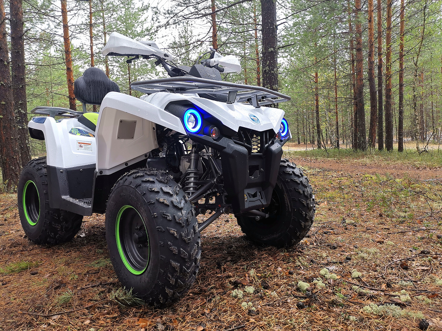 Квадроцикл PROMAX RENEGADE 280 (2025) в Новоуральске