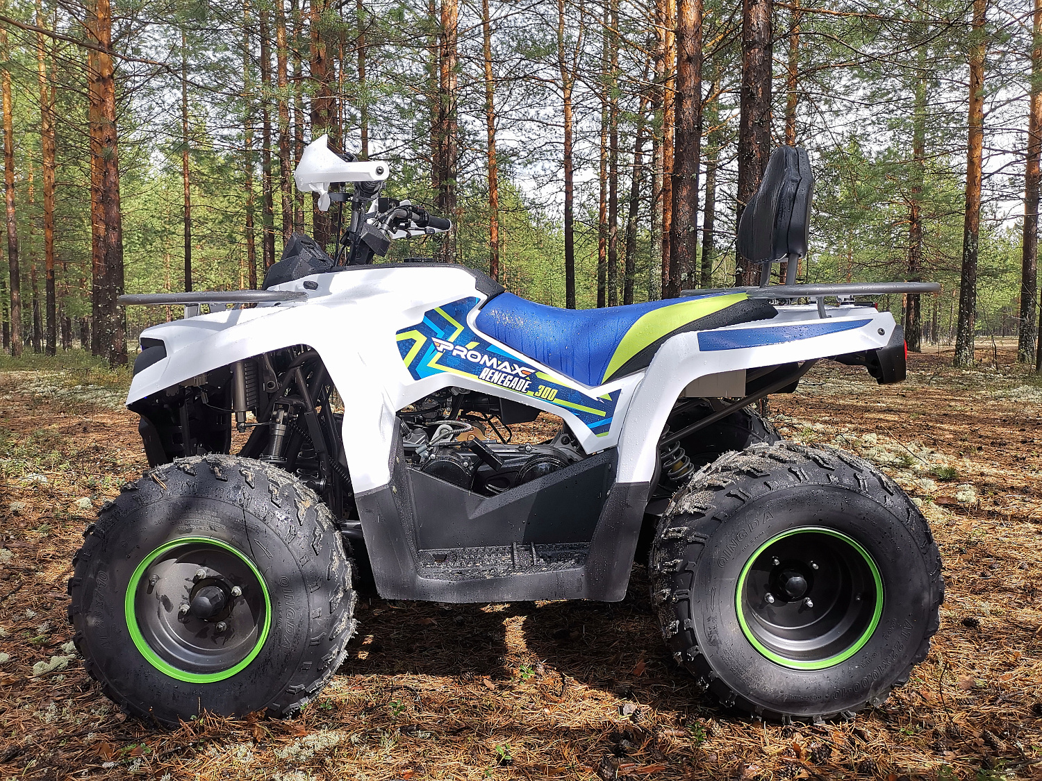 Квадроцикл PROMAX RENEGADE 280 (2025) в Новоуральске