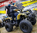 Квадроцикл PROMAX ATV 250 (2025) в Новоуральске