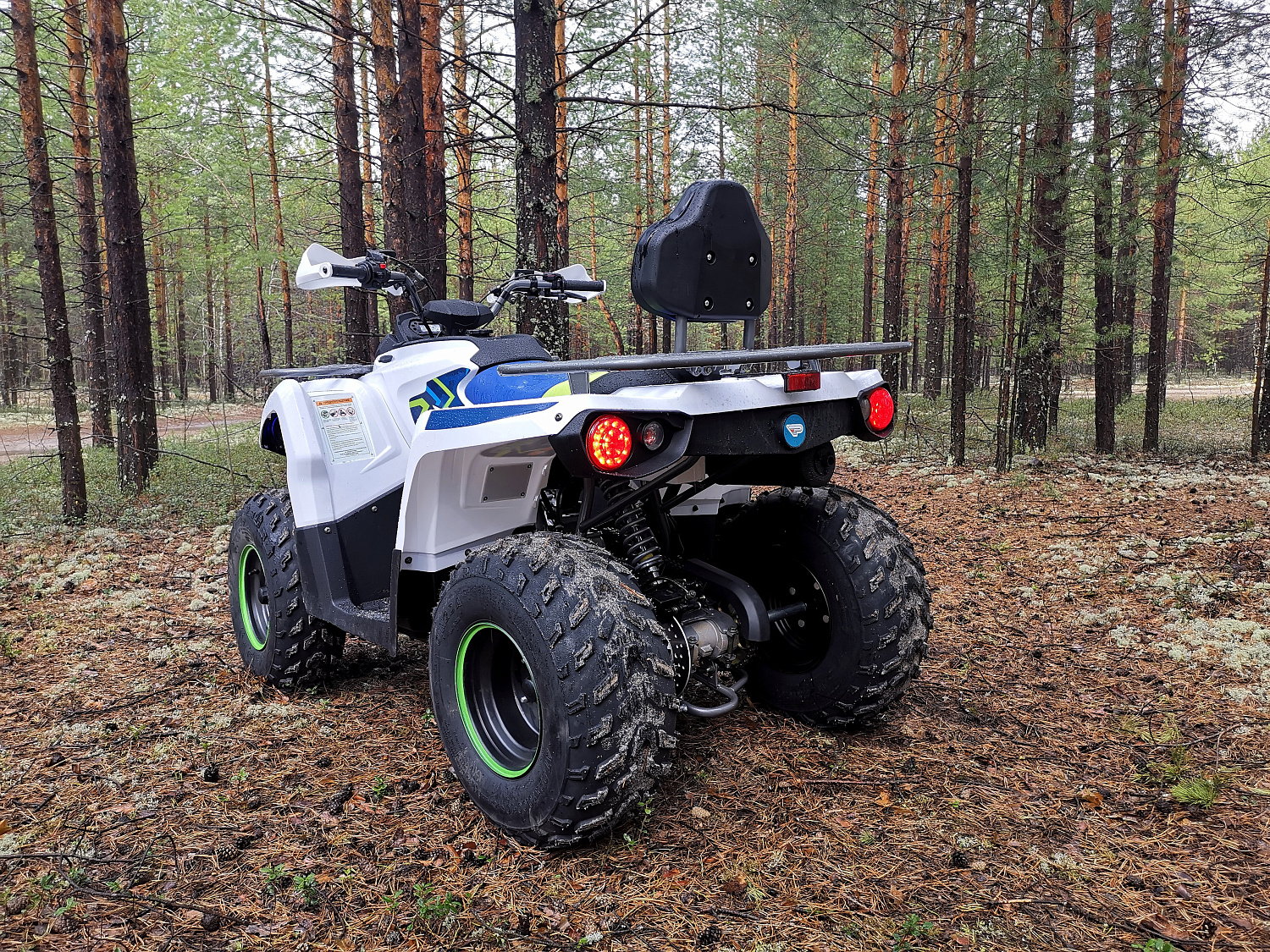 Квадроцикл PROMAX RENEGADE 280 (2025) в Новоуральске