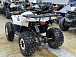 Квадроцикл PROMAX WILD 2.0 190 LUX в Новоуральске