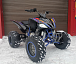Квадроцикл PROMAX RAPTOR 300 NEW RedBull в Новоуральске