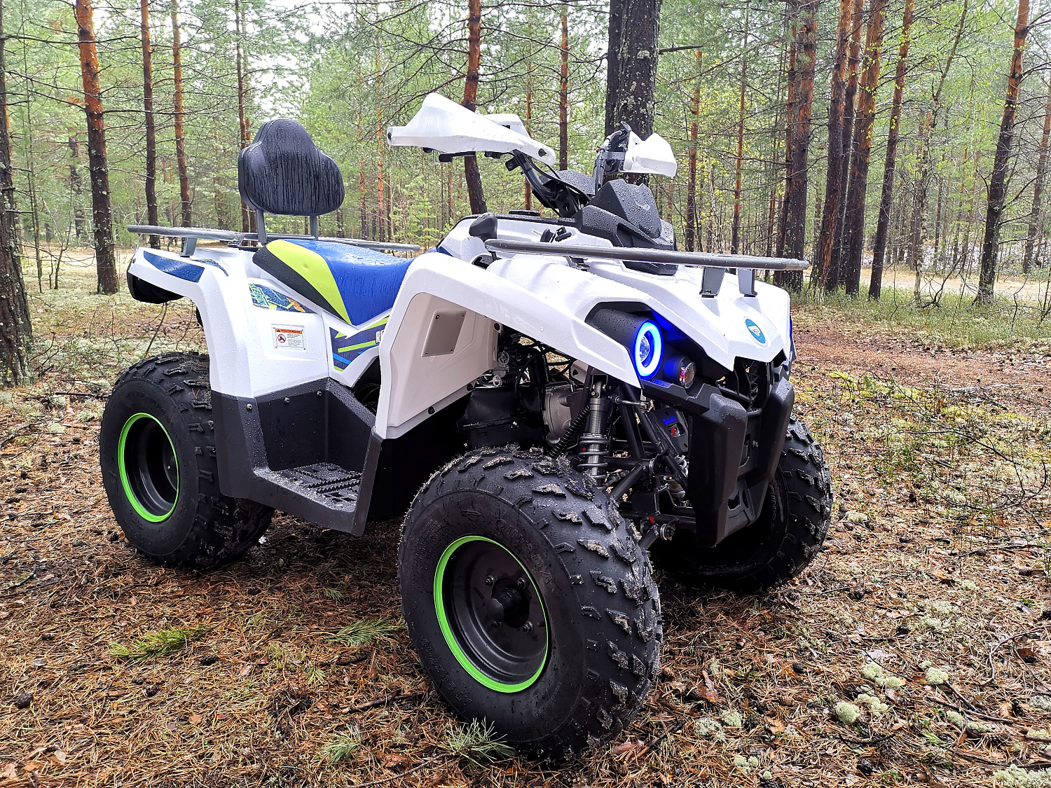 Квадроцикл PROMAX RENEGADE 280 (2025) в Новоуральске