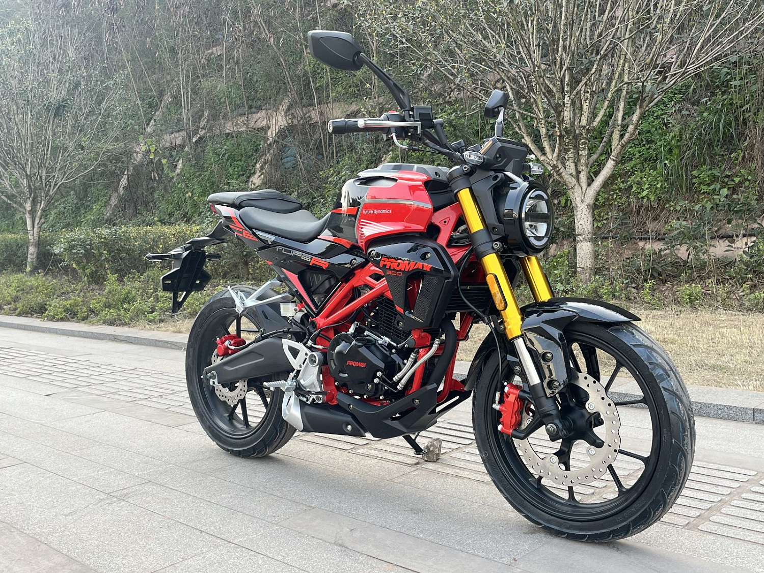 Мотоцикл PROMAX CB300 в Новоуральске