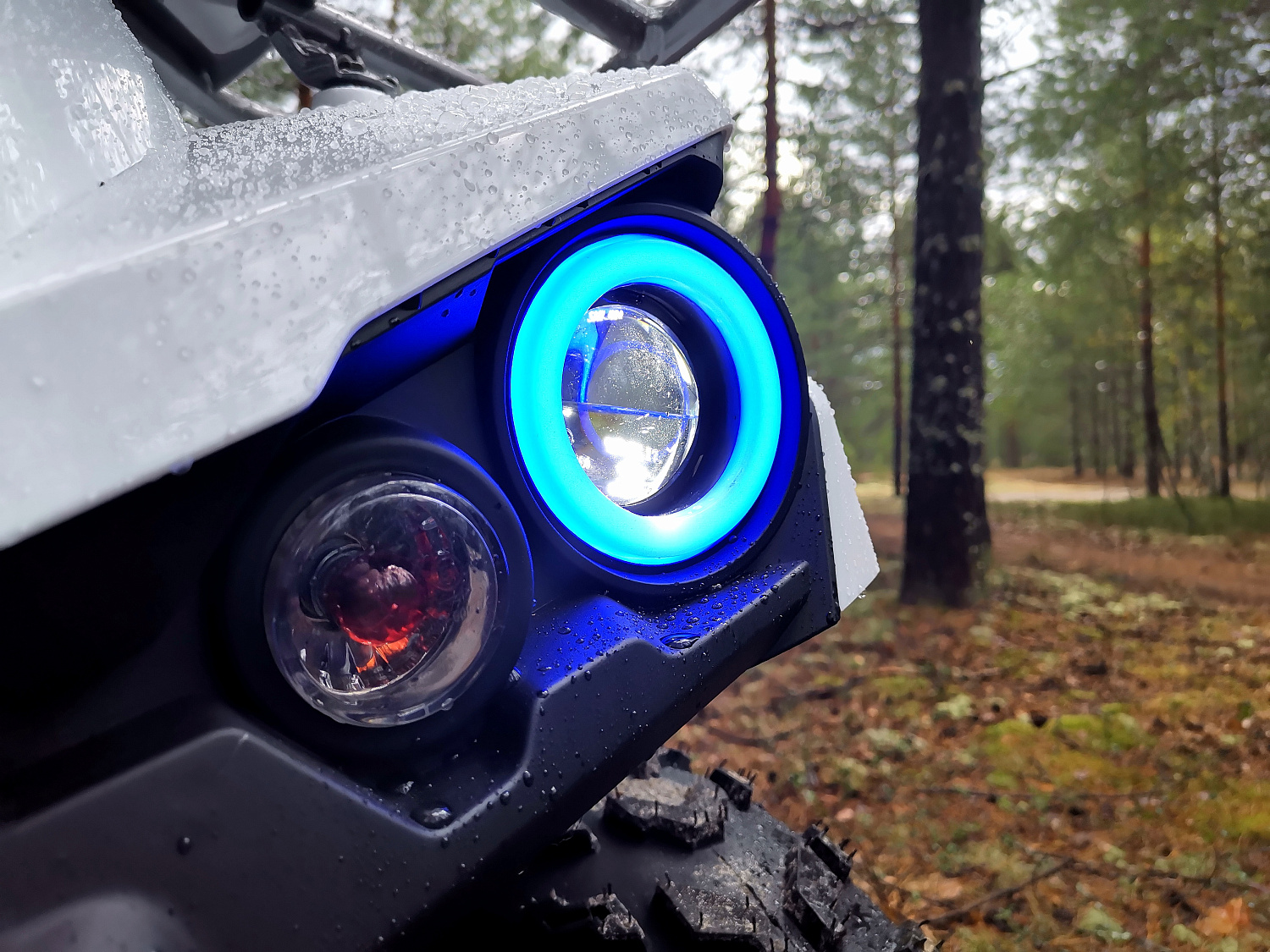 Квадроцикл PROMAX RENEGADE 280 (2025) в Новоуральске