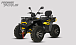 Квадроцикл PROMAX TAURUS 300 MAX-PRO LONG в Новоуральске
